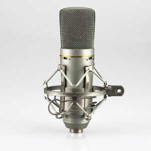 YR01 Recording Microphone.